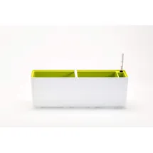 Plastia Berberis 60 x 20 x 20 cm Grün/Weiß