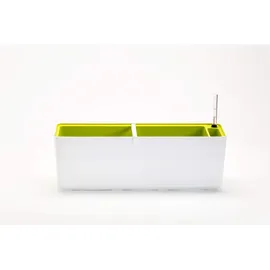 Plastia Berberis 60 x 20 x 20 cm Grün/Weiß