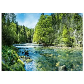 WallArena Fototapete Wald in Grün | Gr.: 150 x 105 cm