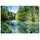 WallArena Fototapete Wald in Grün | Gr.: 150 x 105 cm