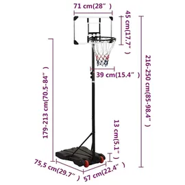 vidaXL Basketballständer Transparent 216-250 cm