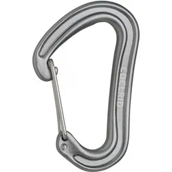 Karabiner Edelrid Nineteen G Dunkelgrau grau NO SIZE