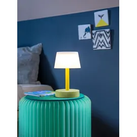 REMEMBER Fritz Flora Gelb