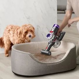 Dyson Car+Boat Handstaubsauger 586120-01