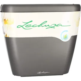 LECHUZA Quadro LS 35 Komplettset 35 x 35 x 33 cm anthrazit metallic