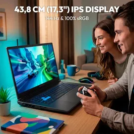 Medion Defender 17 P10 17,3" Intel Core i9-14900HX 16 GB RAM 1 TB SSD NVIDIA GeForce RTX 5060 Windows 11 schwarz