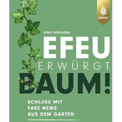 Efeu erwürgt Baum