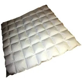 Betten Hofmann Hofmann Bayern Kassetten Daunendecke Ganzjahresdecke 7x8 200x220 cm 1120g leicht - Weiß