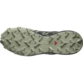 Salomon Speedcross 6 Gore-Tex Herren Grisaille/Carbon/Tea 42