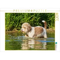 Calvendo Puzzle EIN Hund zum Verlieben 1000 Teile Puzzle