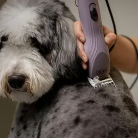 Agrarzone Wahl KM10+ Hunde Schermaschine mit Aufsteckkamm Set