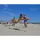 kankakee spikeball inc. Spikeball Single Set