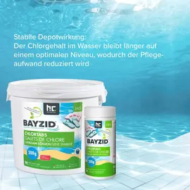 Bayzid Chlortabletten 200 g 4 x 5 kg