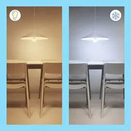 WIZ Smart LED A60 Bulb 60W E27 806 lm 2700 K 1 St.
