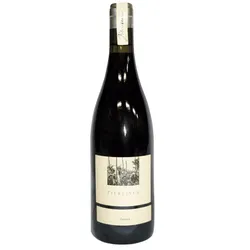 Syrah Trocken Gestad Weingut Ziereisen 2021