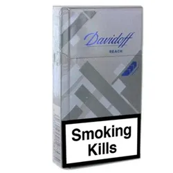 Davidoff REACH gray - 1 Stange (10x20)