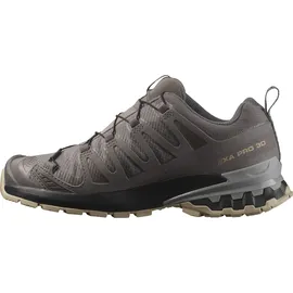 Salomon XA Pro 3D V9 GTX Damen Plum Kitten/Black/Gull 43