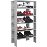 Ricoo Schuhregal 5 Ebenen 30 x 25 x 100 cm Platingrau