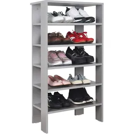 Ricoo Schuhregal 5 Ebenen 30 x 25 x 100 cm Platingrau
