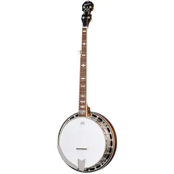 Epiphone Mastertone Classic Banjo - Bluegrass Banjo