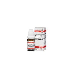 DHU-Arzneimittel NUX VOMICA D12