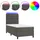 vidaXL Boxspringbett 100 x 200 cm Grau