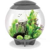 biOrb HALO 60 MCR grau