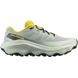 Salomon Ultra Flow 2 Herren Wrought Iron / Metal / Incaberry 44