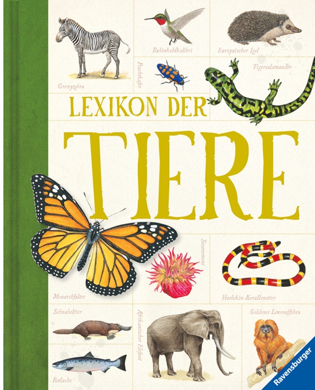 Lexikon Der Tiere - Ein Umfangreiches Zoologisches Nachschlagewerk Für Schule Und Freizeit, Gebunden