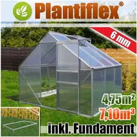 Aluminium Gewächshaus 16,07m3 mit Fundament 250x430cm Garten Pflanzenhaus Alu Treibhaus Tomatenhaus 10,75m2 - 6mm Verglasung - silber