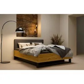 Home Affaire PERY Bettgestell 160 x 200 cm Schwarz