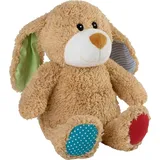 Baby-Hase