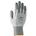 phynomic foam 60050