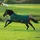 Horseware Rambo Original Turnout Lite 0g - Green/Red 160