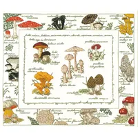 Le bonheur des dames Kreuzstich Set