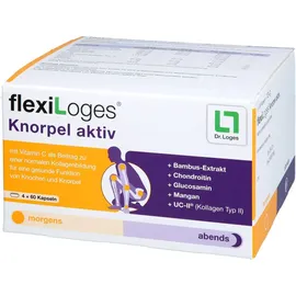Dr. Loges Flexiloges Knorpel aktiv Kapseln 240 St.
