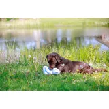 Nobby Eisbär Floating 27 cm