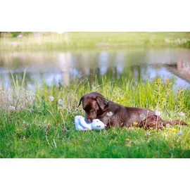 Nobby Eisbär Floating 27 cm