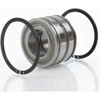 INA Zylinderrollenlager SL045009 -C3