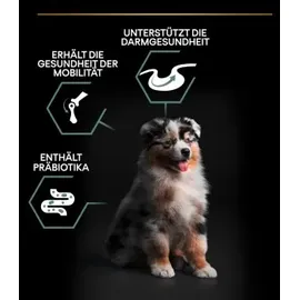 Purina Pro Plan Dog Medium Puppy mit Optidigest Lamm 3 kg