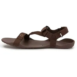 Xero Shoes Z-Trek II Herren Braun 43