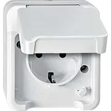 Merten SCHUKO-Steckdose lichtgrau MEG2400-8029