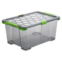 Rotho Evo Total Aufbewahrungsbox 44l mit Deckel grau/grün