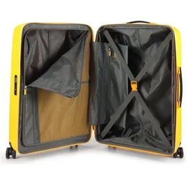 American Tourister Dashpop 4-Rollen M 67 cm / 76 l golden yellow