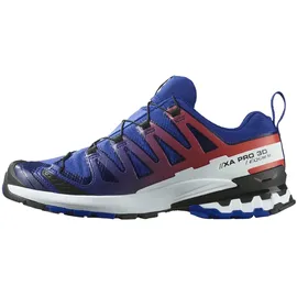 Salomon XA Pro 3D V9 GTX Herren Surf The Web/Fiery Red/White 42