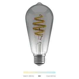 Hombli Filament Bulb CCT E27 ST64-Smokey 6 W E27 warmweiß 1 St.