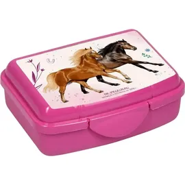 Coppenrath Verlag Mini-Snackbox - Pferdefreunde, pink