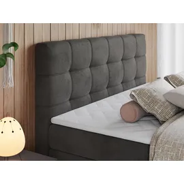 MKS Meble Boxspringbett, Dunkelgrau, Textil, 2-Sitzer, H4, Rechteckig, 140x200 cm Schlafzimmer, Betten, Boxspringbetten