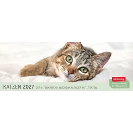 Harenberg Katzen Premium-Tischplaner 2027 Weiß