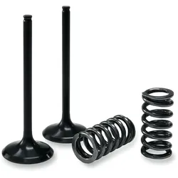 Auslassventil Set Prox mit Federn YZF 450 2010-2013